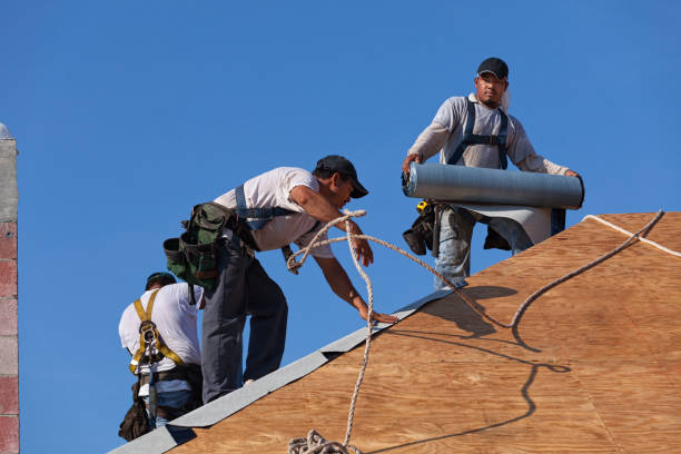 Best Roof Gutter Cleaning  in Weber City, VA